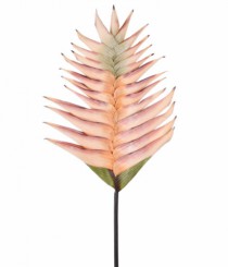 HT FOLHA DE HELICONIA OUTONADA CAFE - Distribuidora 12 de Outubro