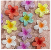 PIRANHA DE CABELO PCT C/ 12 - Distribuidora 12 de Outubro