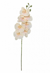 HASTE DE ORQUIDEA DE TECIDO 72CM SALMAO - Distribuidora 12 de Outubro