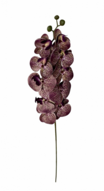 HASTE DE ORQUIDEA 3D 105CM VINHO - Distribuidora 12 de Outubro