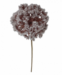 HASTE DE MOCHA MOUSSE - Distribuidora 12 de Outubro