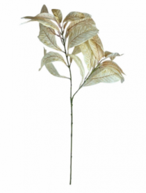 HASTE FOLHAS PROTEA 70CM CREME ENVELHECIDO - Distribuidora 12 de Outubro