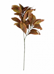 HASTE FOLHAS PROTEA 70CM OUTONADO - Distribuidora 12 de Outubro