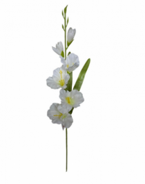 HASTE DE PALMA 60CM CREME - Distribuidora 12 de Outubro