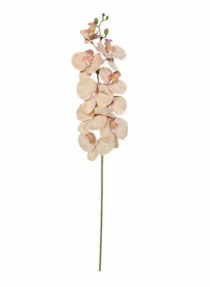 HASTE DE ORQUIDEA DE TECIDO 105CM OUTONADO - Distribuidora 12 de Outubro