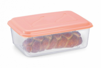 CONTAINER VERSATIL RETANGULAR 5,5 L TRANSPARE - Distribuidora 12 de Outubro