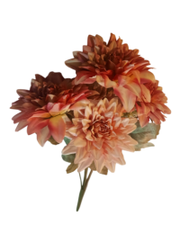 DALIA X5 - Distribuidora 12 de Outubro