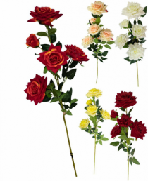 ROSA X5 - Distribuidora 12 de Outubro