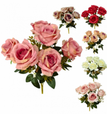 ROSA X6 - Distribuidora 12 de Outubro