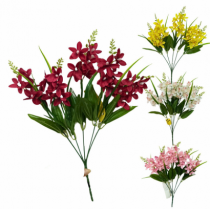 ORQUIDEA - Distribuidora 12 de Outubro