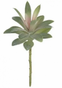F.SUCULENTA PLASTICO (VERDE ROSA) 17CM (FLORA - Distribuidora 12 de Outubro