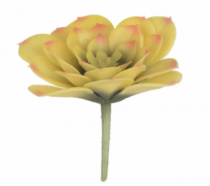 F.SUCULENTA X26 (AMARELO) 10CM (FLORARTE) - Distribuidora 12 de Outubro