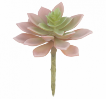 F.SUCULENTA X33 (SALMAO VERDE) 13CM (FLORARTE - Distribuidora 12 de Outubro