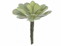F.SUCULENTA PLASTICO (VERDE 2T) 13CM (FLORART - Distribuidora 12 de Outubro