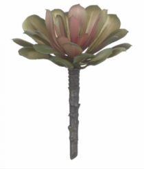 F.SUCULENTA PLASTICO (VERDE ROSA) 13CM - Distribuidora 12 de Outubro