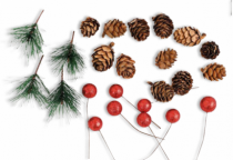ENFEITE DIY DIVERSO SORT 24 PCS APROX 5CM - Distribuidora 12 de Outubro