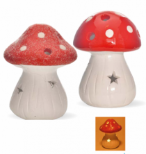 COGUMELO STAR LED DOL 1L BQ 8 X 8 X 11CM - Distribuidora 12 de Outubro