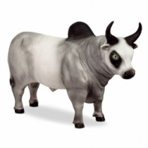TOUROS DIVERSOS - Distribuidora 12 de Outubro